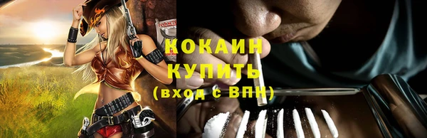 стафф Корсаков