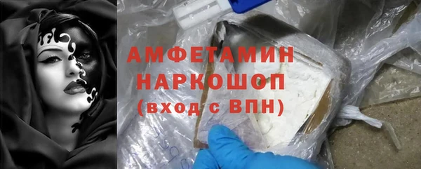 стафф Корсаков