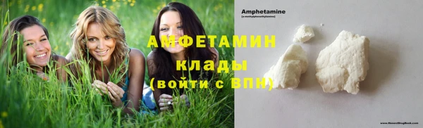 стафф Корсаков
