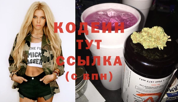 стафф Корсаков