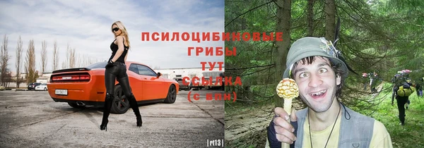 синтетический гашиш Костерёво